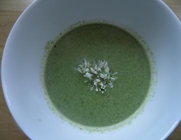 Brennnesselsuppe Brennnesselsuppe