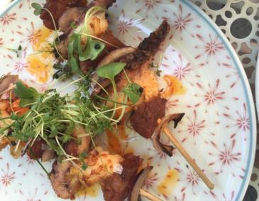 Octopus-Sate-Spiesse Octopus-Sate-Spiesse
