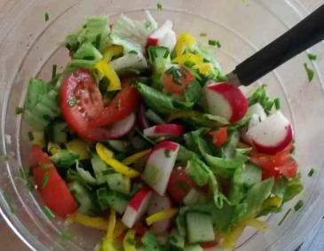 Frühlings-Salat mit Orangen-Holler-Distelöldressing Frühlings-Salat mit Orangen-Holler-Distelöldressing