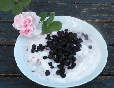 Heidelbeer-Rosencreme mit Mascarpone Heidelbeer-Rosencreme mit Mascarpone