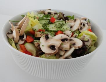 Bunter Salat mit Apfelsaftvinaigrette Bunter Salat mit Apfelsaftvinaigrette