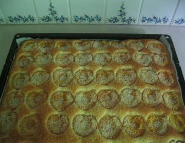 Marillenkuchen mit Kokos Marillenkuchen mit Kokos