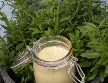 Ysop-Salatdressing Ysop-Salatdressing