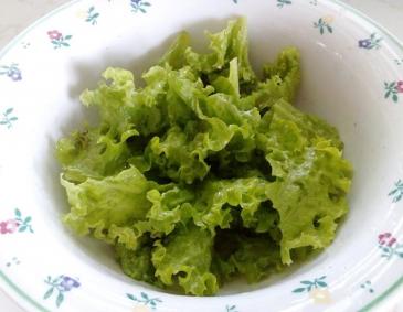 Frisée-Salat Frisée-Salat