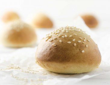 Burger Buns Burger Buns