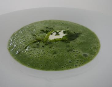 Kartoffelsuppe mit Brennnesseln Kartoffelsuppe mit Brennnesseln