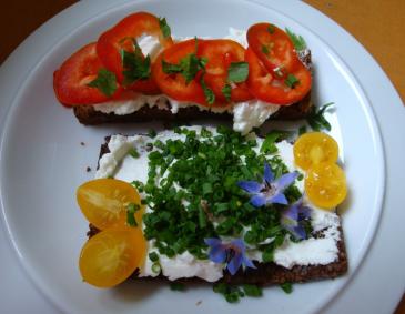 Knoblauch-Aufstrich Knoblauch-Aufstrich