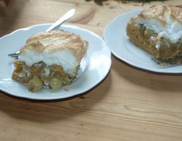Stachelbeerkuchen mit Schneehaube Stachelbeerkuchen mit Schneehaube