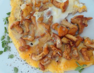 Frittata mit Eierschwammerl Frittata mit Eierschwammerl
