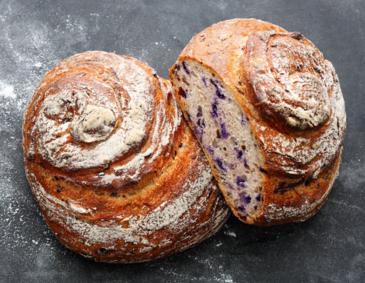 Rotkrautschnecke