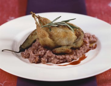 Gefüllte Wachteln auf Rotweinrisotto Gefüllte Wachteln auf Rotweinrisotto