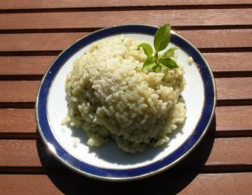 Brennnesselrisotto Brennnesselrisotto