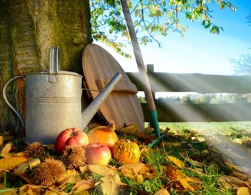 Die besten Gartenrezepte - Frisch gekocht aus dem eigenen Garten