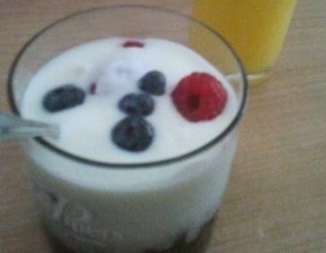 Vanillemousse mit Müsli und Beeren Vanillemousse mit Müsli und Beeren