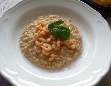 Shrimps-Risotto Shrimps-Risotto
