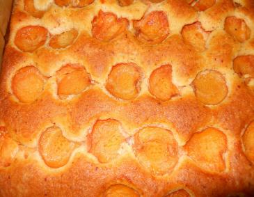 Marillenkuchen für Diabetiker Marillenkuchen für Diabetiker