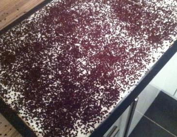 Nutella Schnitte Nutella Schnitte