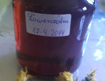Löwenzahnhonig Löwenzahnhonig