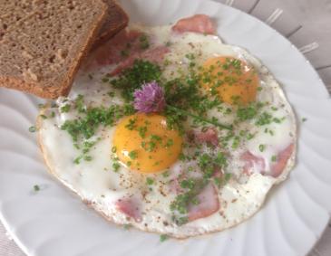 Ham and Eggs Ham and Eggs