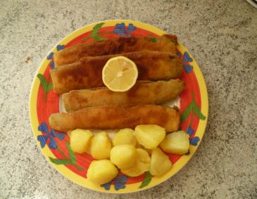Gebackene Zucchini Gebackene Zucchini