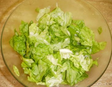 Häuptelsalat mit Zwiebel Häuptelsalat mit Zwiebel