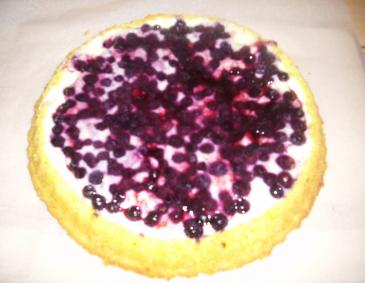 Obstkuchen mit Pudding Obstkuchen mit Pudding