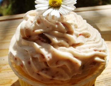 Zitronencupcakes Zitronencupcakes