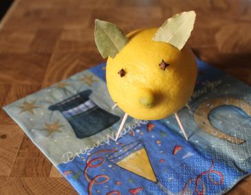 Zitronenschweinchen Zitronenschweinchen