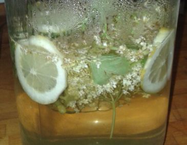 Holunderblütensirup Holunderblütensirup