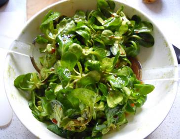 Vogerlsalat Vogerlsalat