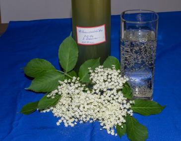 Holundersirup mit Zitronenmelisse Holundersirup mit Zitronenmelisse