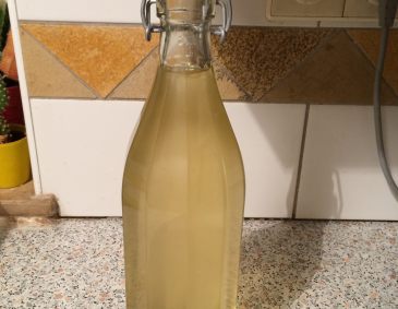 Holunderblütensirup Holunderblütensirup