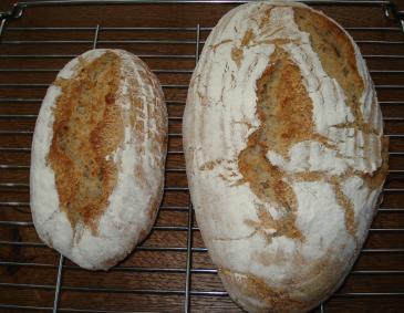 Bauernbrot mit Buttermilch Bauernbrot mit Buttermilch