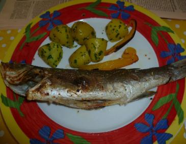 Gegrillter Wolfsbarsch mit Petersilerdäpfeln Gegrillter Wolfsbarsch mit Petersilerdäpfeln