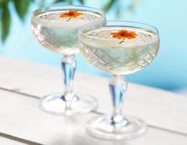 Lillet Miss Sunshine Lillet Miss Sunshine