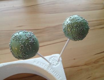 Cake Pops Cake Pops