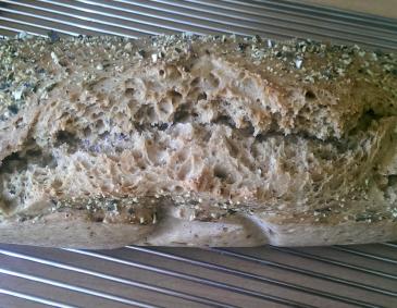 Kürbiskernbrot Kürbiskernbrot