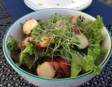 Sommer-Gartensalat mit Pfirsich Sommer-Gartensalat mit Pfirsich