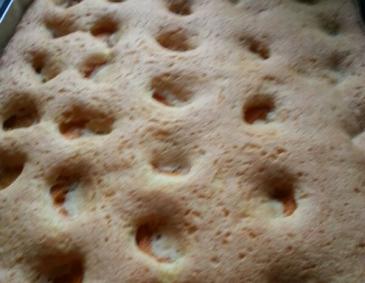 Marillenkuchen Marillenkuchen