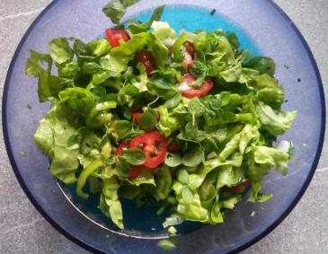 Bunter Gartensalat mit Oregano Bunter Gartensalat mit Oregano