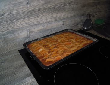 Marillenblechkuchen Marillenblechkuchen