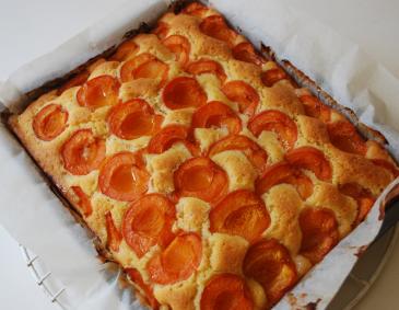 Marillenkuchen Marillenkuchen
