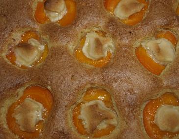 Dinkelvollkorn-Marillenkuchen mit Marzipan Dinkelvollkorn-Marillenkuchen mit Marzipan
