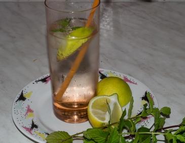 Zitronenmelissen-Minzsirup Zitronenmelissen-Minzsirup