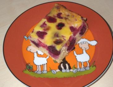 Marillenkuchen mit Guss Marillenkuchen mit Guss
