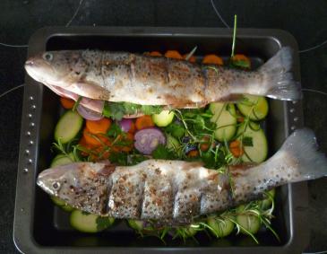 Gegrillter Saibling auf Gemüsebett Gegrillter Saibling auf Gemüsebett