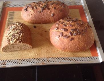 Kürbiskernbrot Kürbiskernbrot