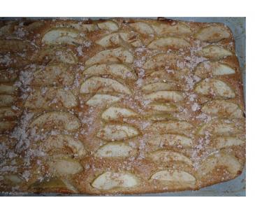 Apfelkuchen mit Zimt Apfelkuchen mit Zimt