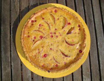 Pfirsich-Ribisel-Tarte Pfirsich-Ribisel-Tarte