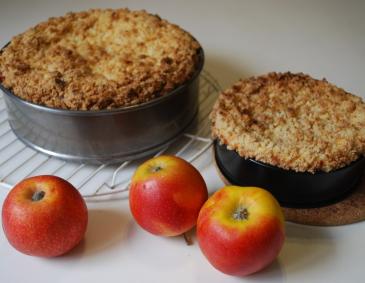Apfel-Topfenkuchen Apfel-Topfenkuchen